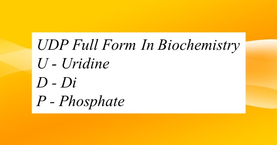 UDP Full Form In Biochemistry