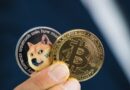 Differences between Bitcoin and Dogecoin