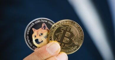 Differences between Bitcoin and Dogecoin