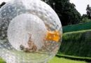 How to Have Fun with Zorb Balls- The Ultimate Guide