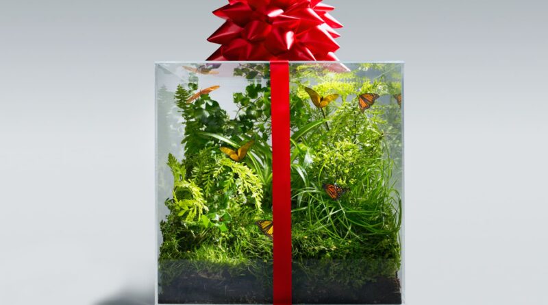 How Can You Contribute to Health of Mother Earth With Eco Friendly Gifts?