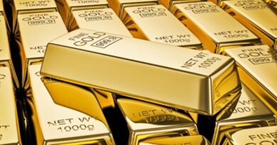 How to Choose the Best Gold Investment Companies?