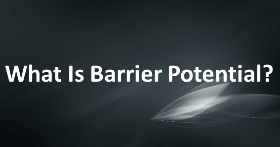 What Is Barrier Potential