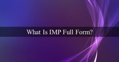 What Is IMP Full Form